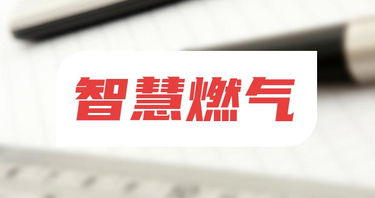 智慧燃氣安全監管平臺:開創燃氣監管新格局 智慧燃氣安全監管平臺:開創燃氣監管新格局