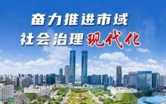 論市域社會治理現代化的制度規范